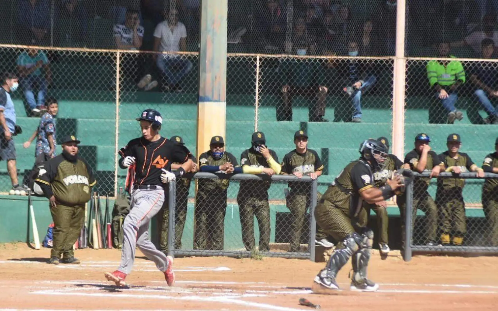 Beisbol 11